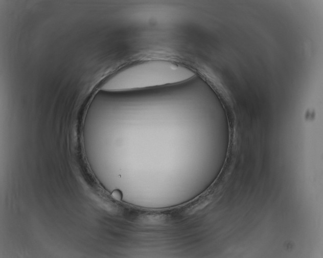 X0000093400202200710120902