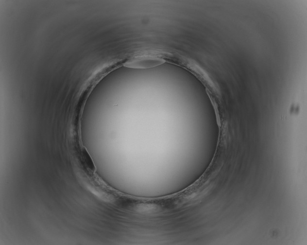 X0000093400203200710120902