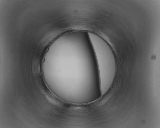 X0000093400205200710120902