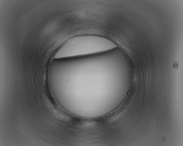 X0000093400206200710120902