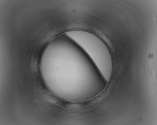 X0000093400209200710120902