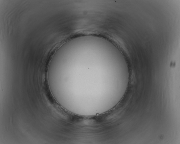 X0000093400210200710120902