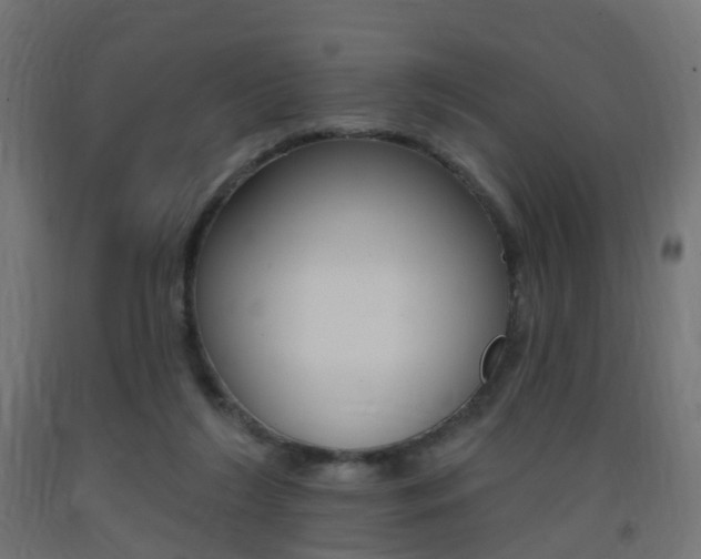 X0000093400212200710120902