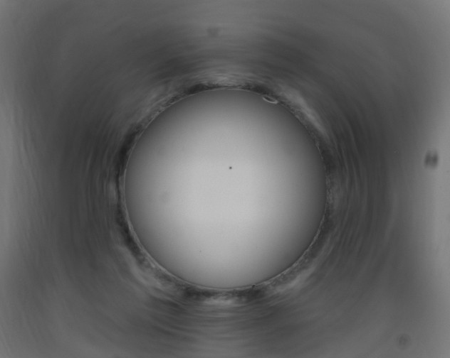 X0000093400213200710120902
