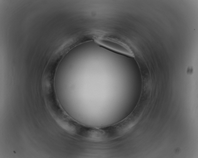 X0000093400215200710120902