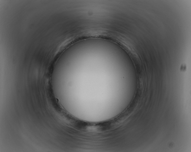 X0000093400216200710120902