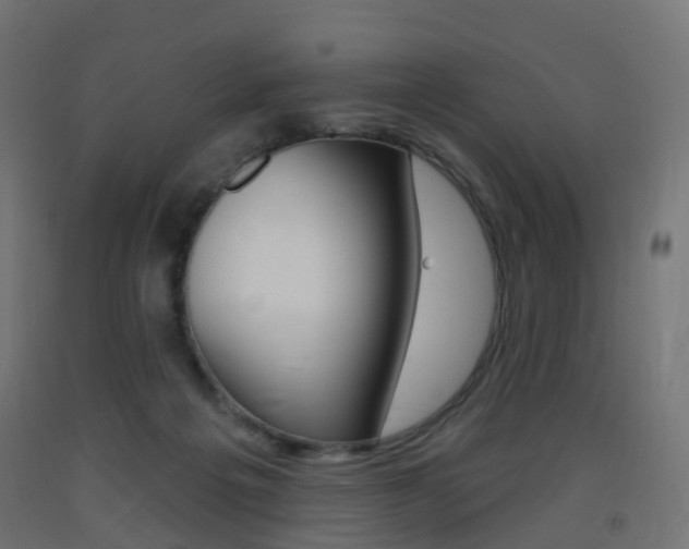 X0000093400217200710120902