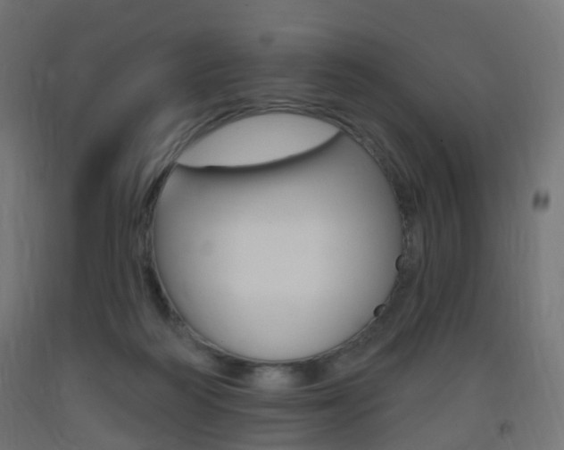X0000093400218200710120902