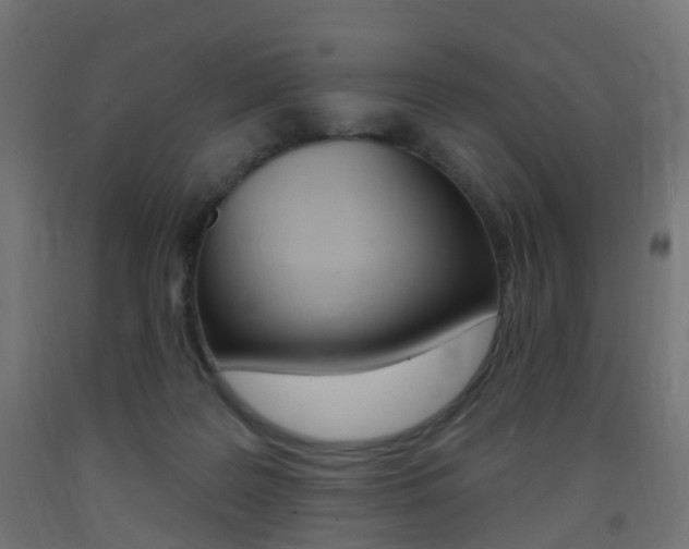 X0000093400219200710120902