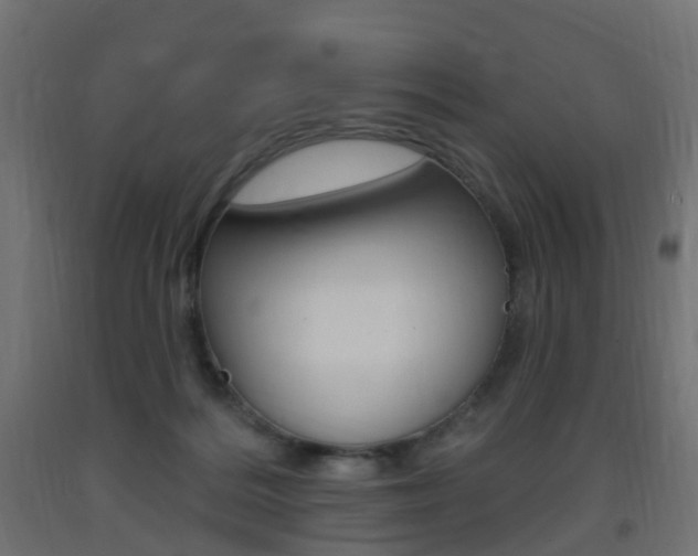 X0000093400220200710120902