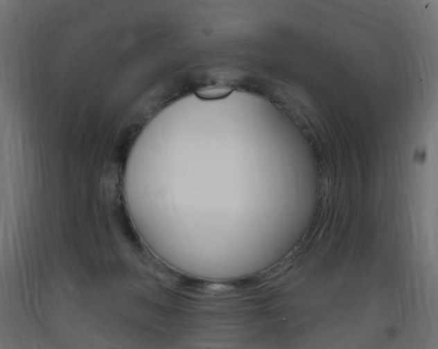 X0000093400222200710120902