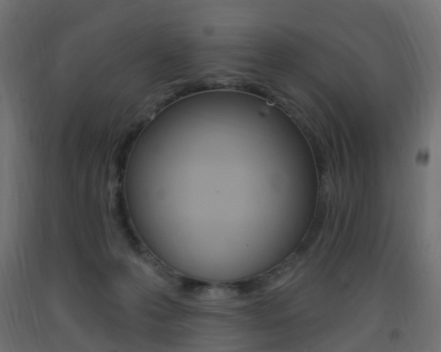 X0000093400223200710120902
