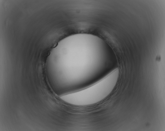 X0000093400225200710120902