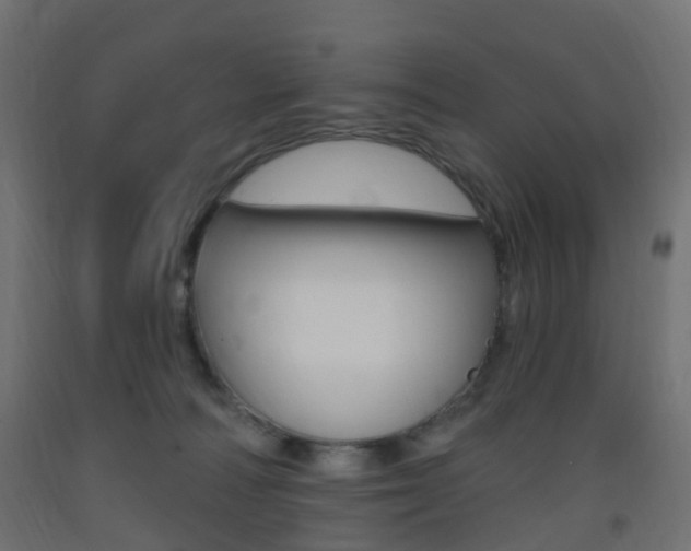 X0000093400226200710120902