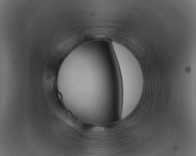 X0000093400227200710120902
