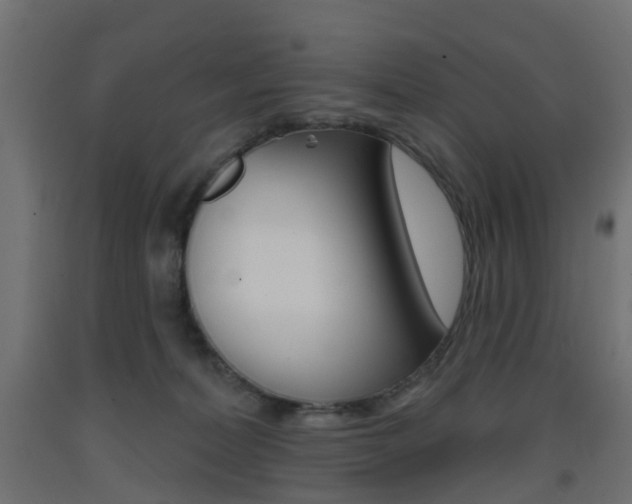 X0000093400228200710120902