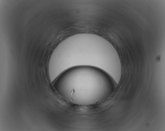 X0000093400229200710120902