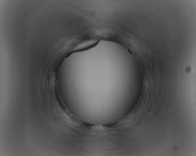 X0000093400231200710120902