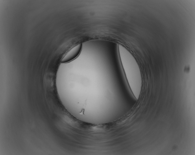 X0000093400232200710120902