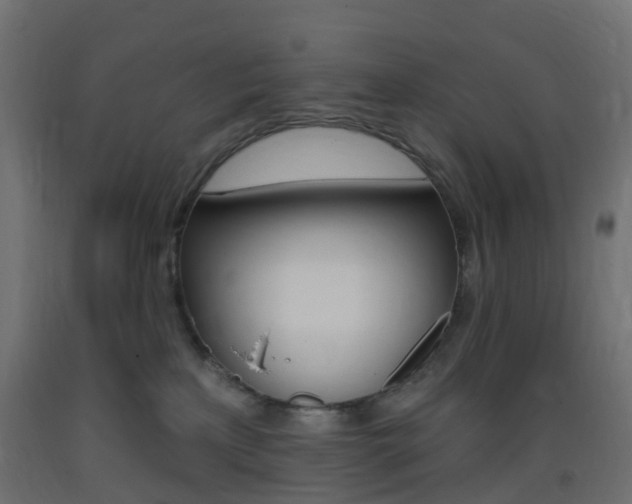 X0000093400233200710120902