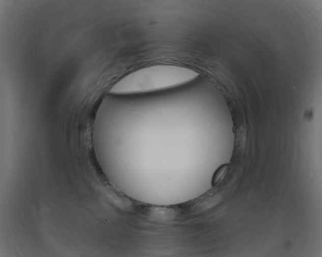 X0000093400234200710120902