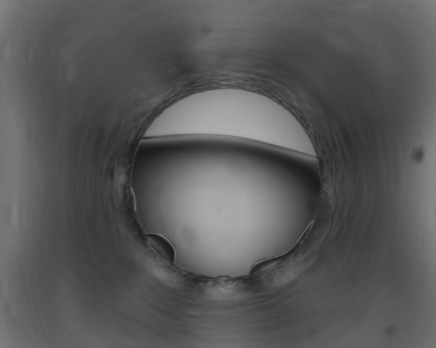 X0000093400235200710120902