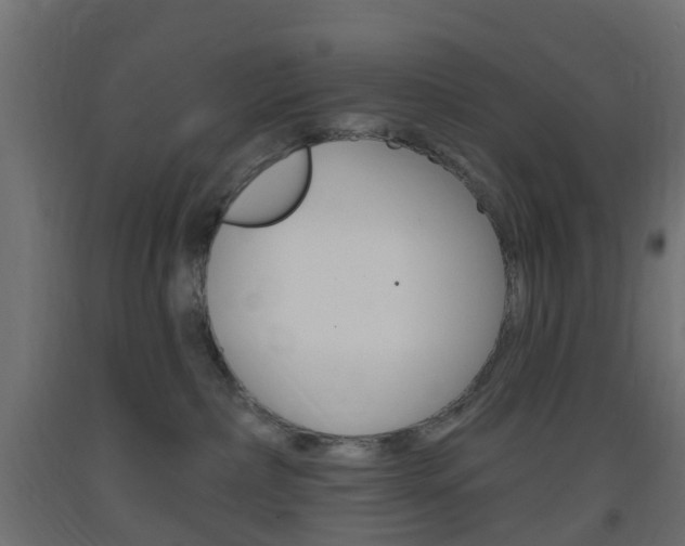 X0000093400236200710120902