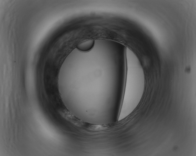 X0000093400239200710120902