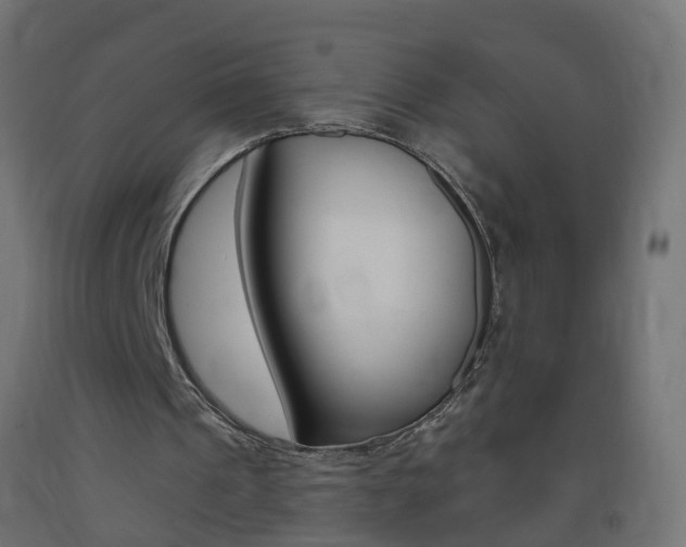 X0000093400241200710120901