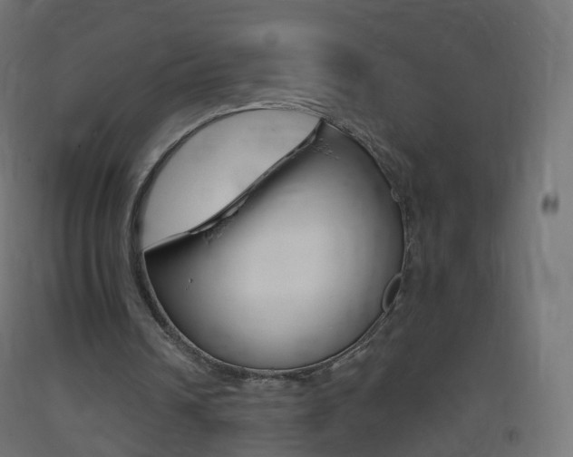 X0000093400242200710120901