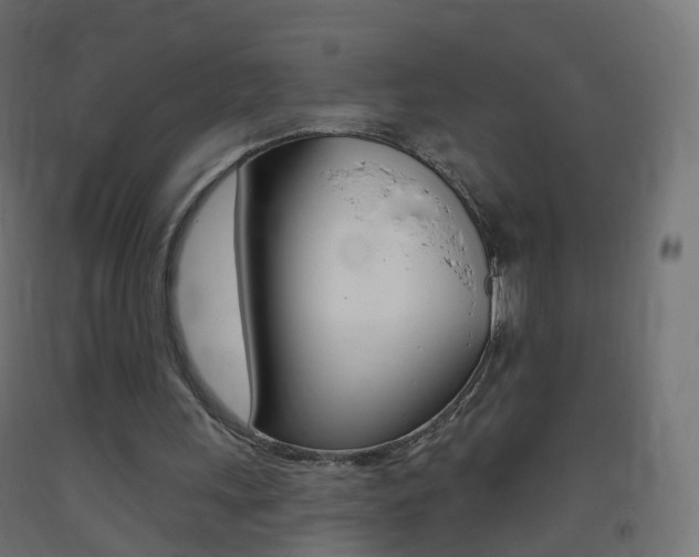 X0000093400243200710120901