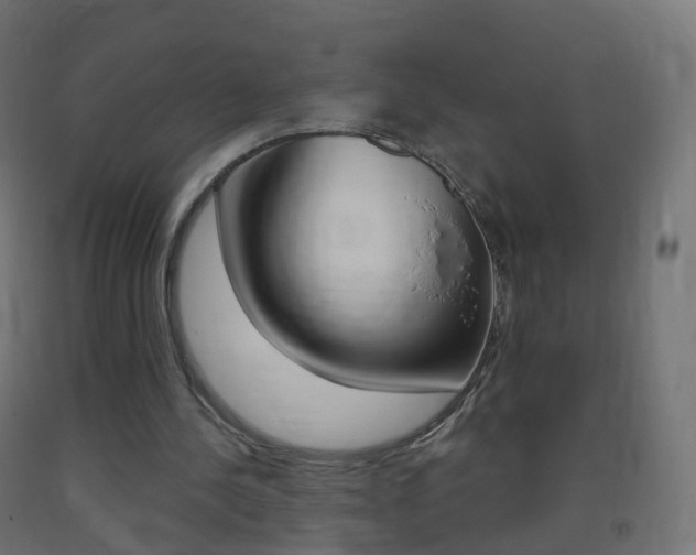 X0000093400244200710120901