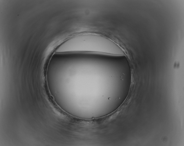 X0000093400245200710120901