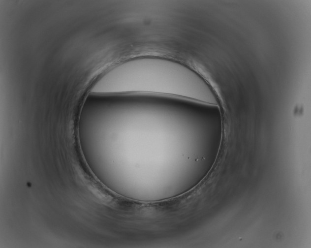 X0000093400249200710120901