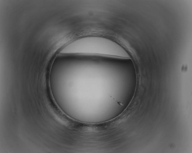 X0000093400250200710120901