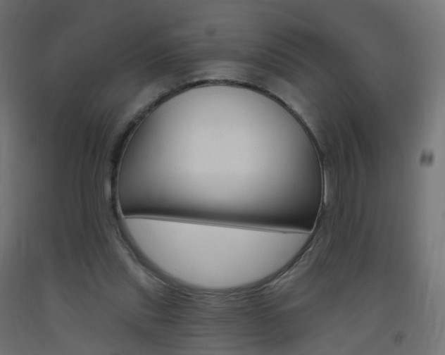 X0000093400253200710120901