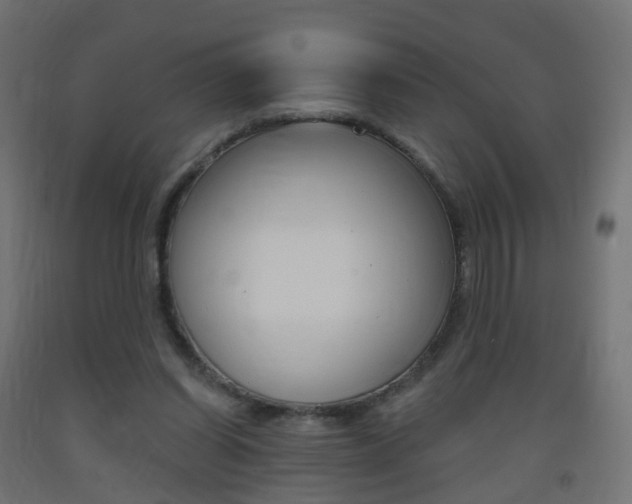 X0000093400254200710120901