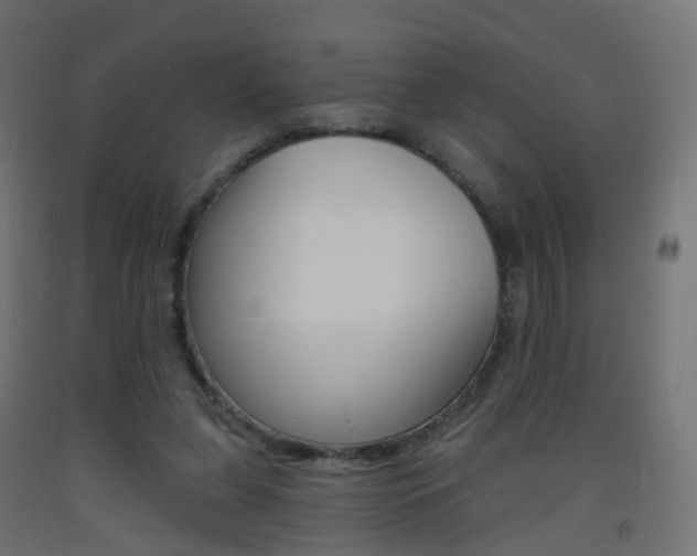 X0000093400255200710120901