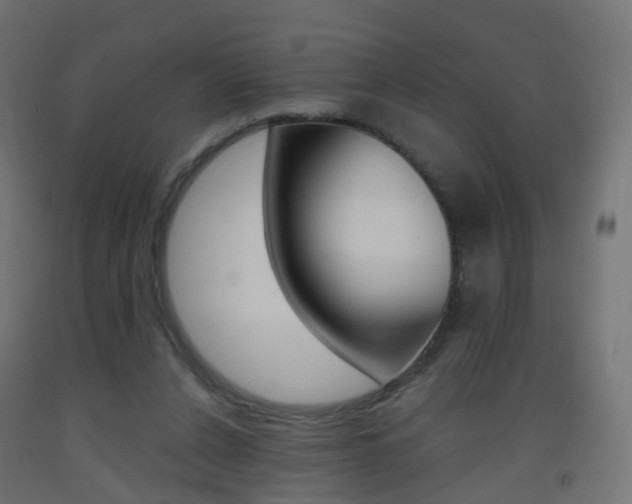 X0000093400256200710120901