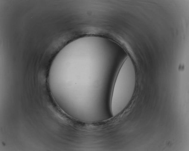 X0000093400257200710120901