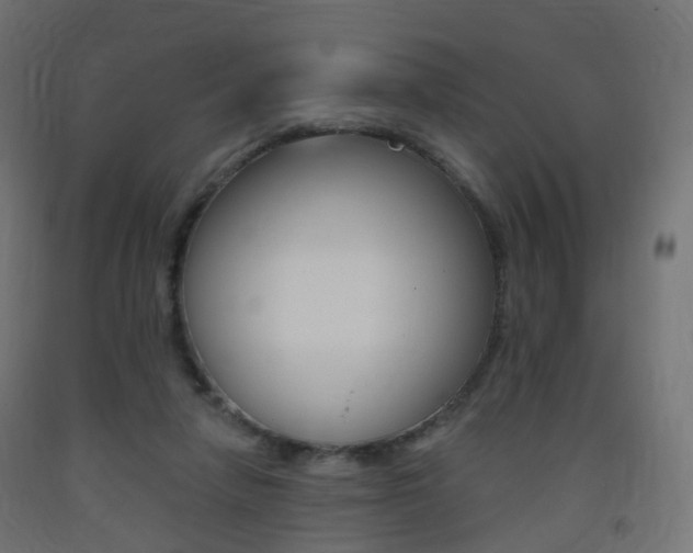 X0000093400258200710120901