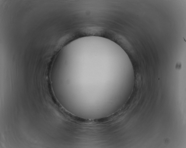 X0000093400259200710120901