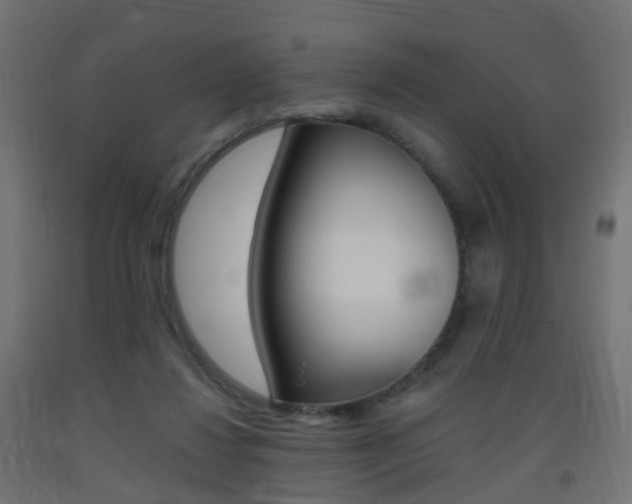 X0000093400260200710120901