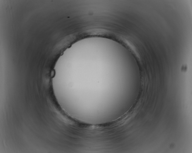 X0000093400261200710120901