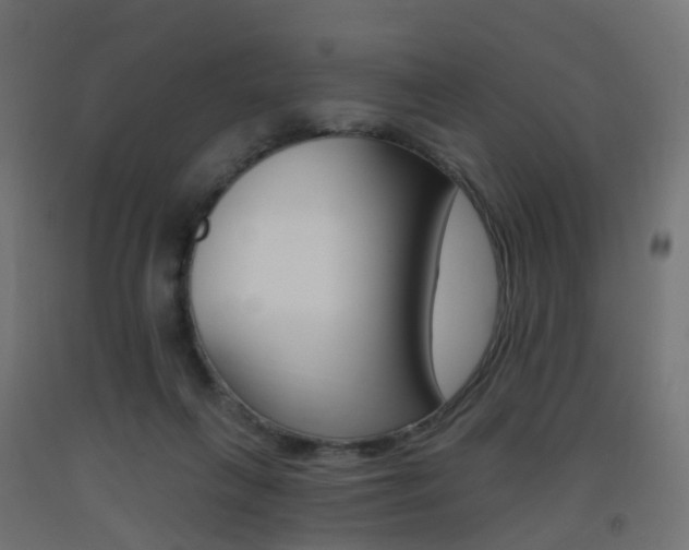 X0000093400263200710120901