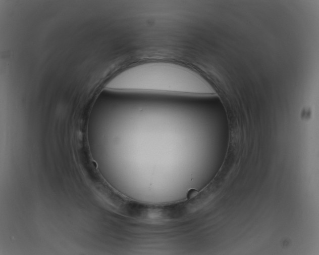 X0000093400264200710120901