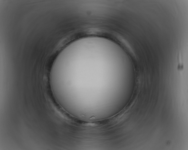 X0000093400265200710120901