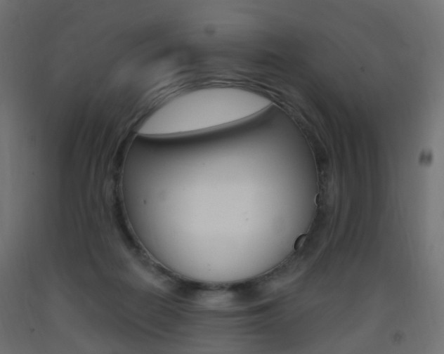 X0000093400266200710120901