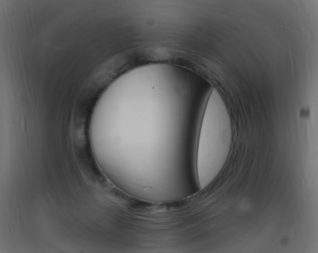 X0000093400267200710120901