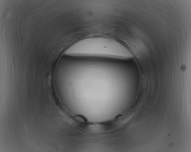 X0000093400269200710120902
